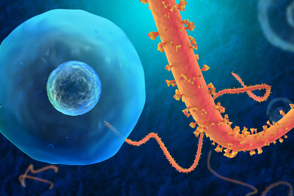 ebola